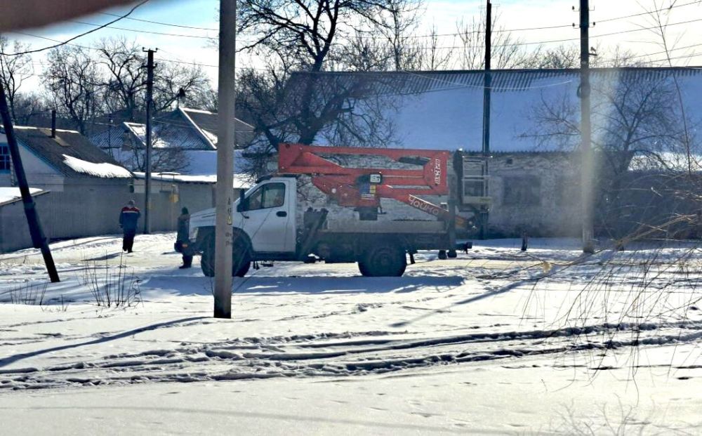 Обрезка деревьев в поселке Северном Обрезка деревьев в поселке Северном