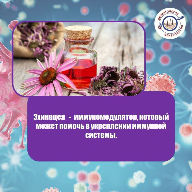 Для поддержания здоровья и улучшения состояния кожи можно рассмотреть использование иммуномодуляторов (смотрите карточки) Для поддержания здоровья и улучшения состояния кожи можно рассмотреть использование иммуномодуляторов (смотрите карточки)