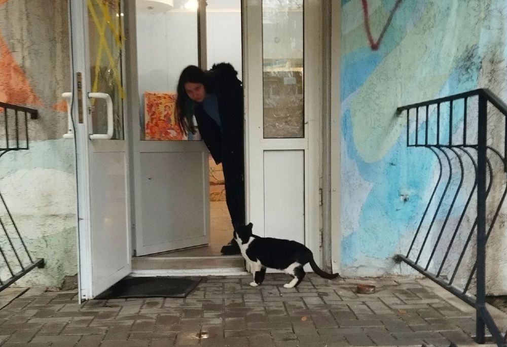 1 марта по стихийно сложившейся традиции в России отмечается День кошек По некоторым данным, впервые этот праздник был организован Московским музеем кошки и редакцией журнала и газеты «Кот и пес» в 2004 году 1 марта по стихийно сложившейся традиции в России отмечается День кошек По некоторым данным, впервые этот праздник был организован Московским музеем кошки и редакцией журнала и газеты «Кот и пес» в 2004 году