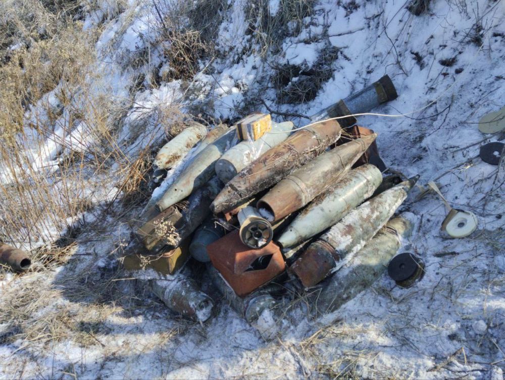 В Славяносербском районе полицейские обнаружили схрон боеприпасами В Славяносербском районе полицейские обнаружили схрон боеприпасами