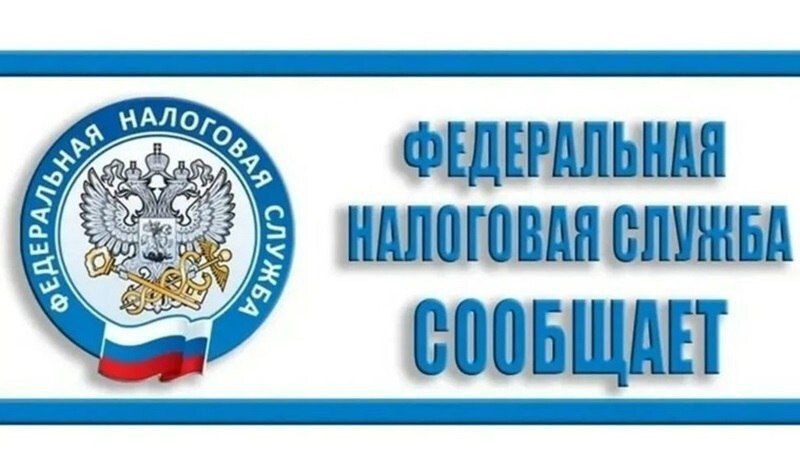 Около 200 книг зауральских авторов отправится в Краснодон Около 200 книг зауральских авторов отправится в Краснодон