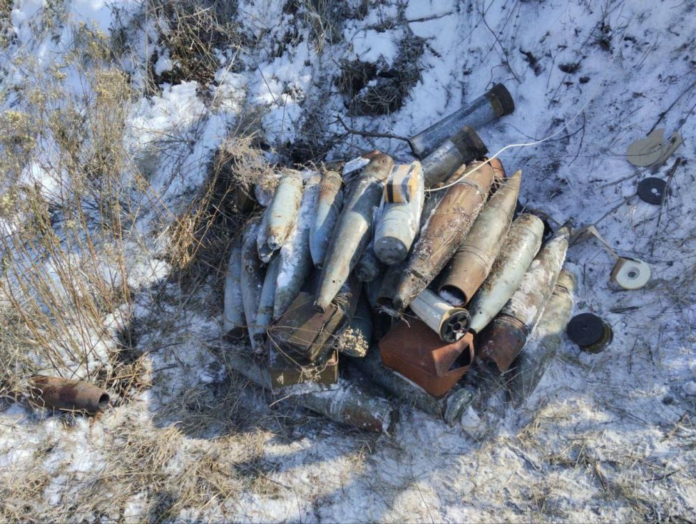 В Славяносербском районе полицейские обнаружили схрон боеприпасами В Славяносербском районе полицейские обнаружили схрон боеприпасами