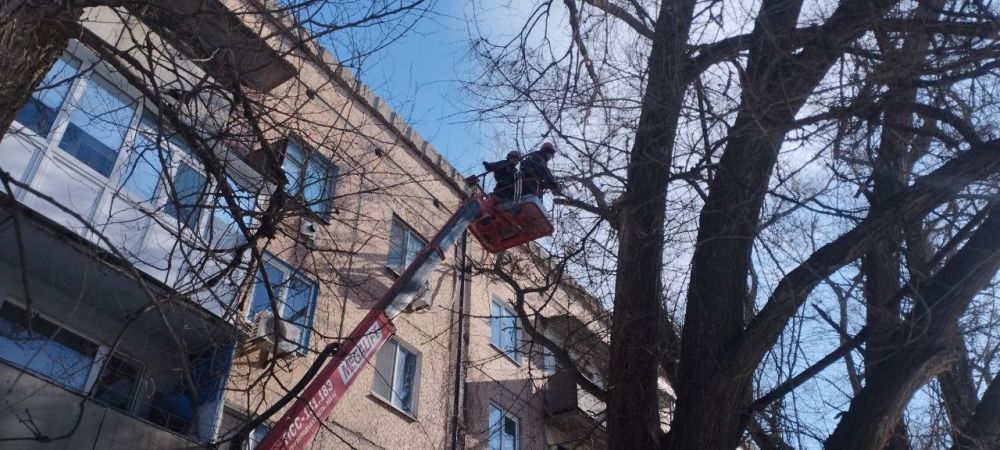 В Молодогвардейске выполнили работы по обрезке деревьев В Молодогвардейске выполнили работы по обрезке деревьев