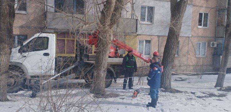 В Молодогвардейске выполнили работы по обрезке деревьев В Молодогвардейске выполнили работы по обрезке деревьев