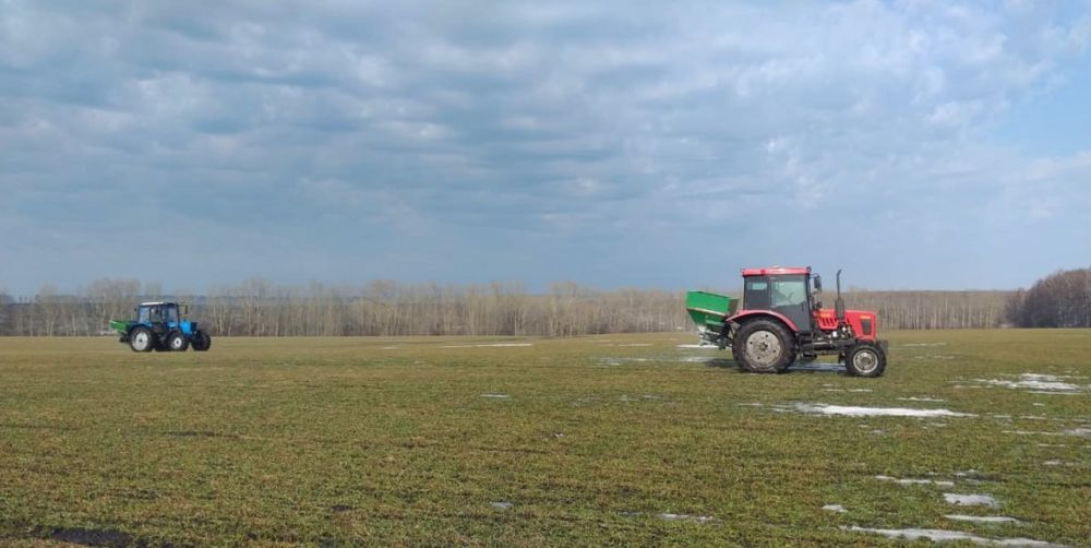 «Луганский кадетский корпус Следственного комитета Российской Федерации» планирует осуществить набор на обучение «Луганский кадетский корпус Следственного комитета Российской Федерации» планирует осуществить набор на обучение