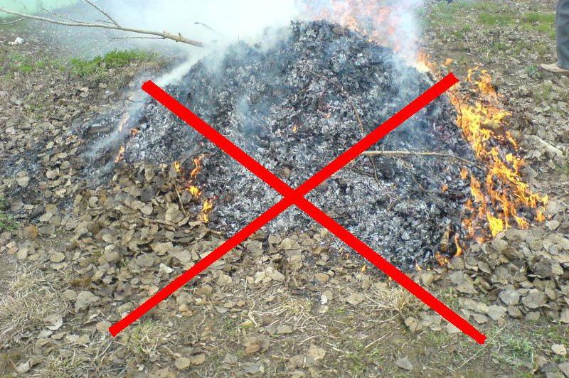 Сжигание сухих листьев и травы опасно для окружающей среды и здоровья человека Сжигание сухих листьев и травы опасно для окружающей среды и здоровья человека