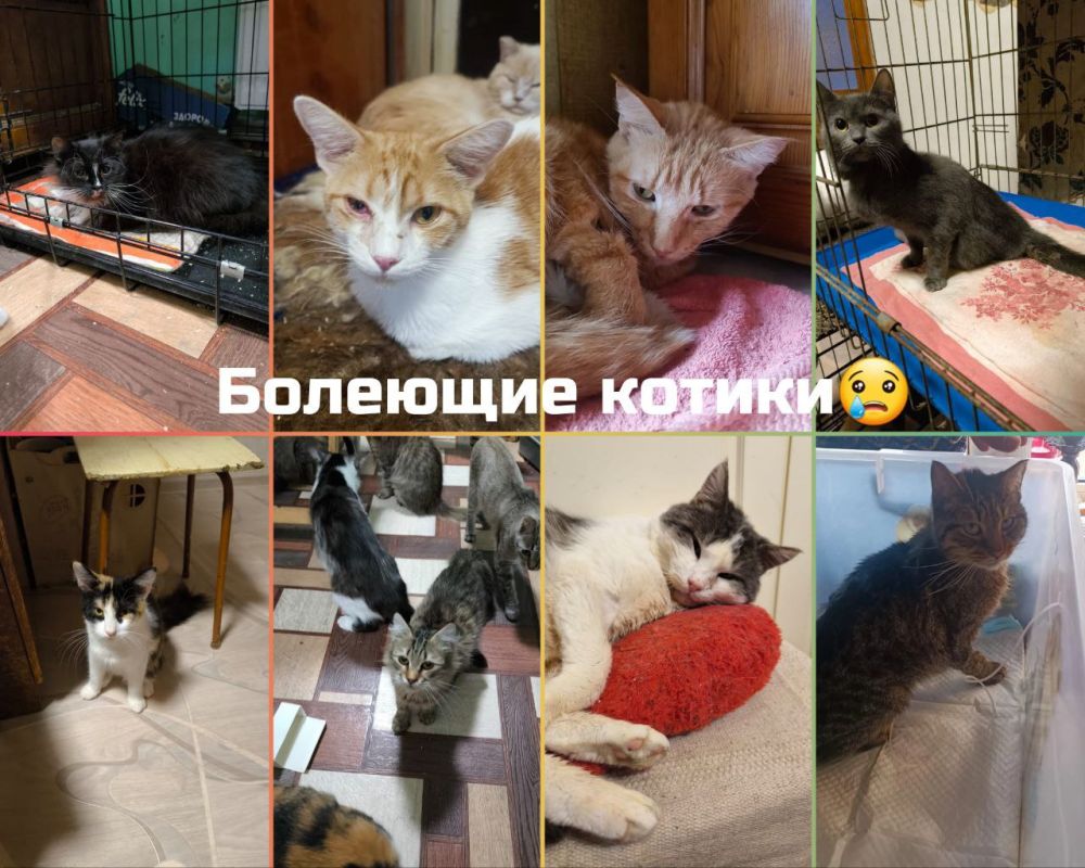 Друзья! Сегодня праздник, поздравляем Друзья! Сегодня праздник, поздравляем