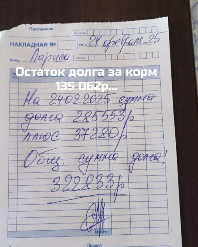 Друзья! Сегодня праздник, поздравляем Друзья! Сегодня праздник, поздравляем