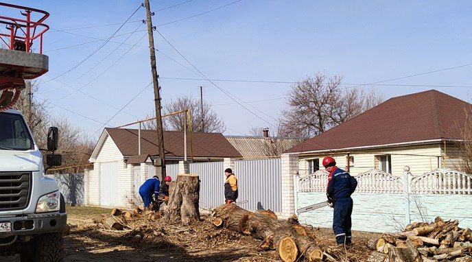 В селе Верхнешевыревка провели частичную обрезку деревьев В селе Верхнешевыревка провели частичную обрезку деревьев