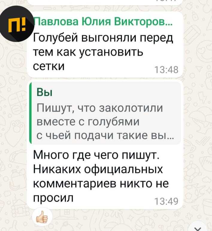 «Полсотни голубей сидели без воды и еды больше 10 дней и бились о стены» «Полсотни голубей сидели без воды и еды больше 10 дней и бились о стены»