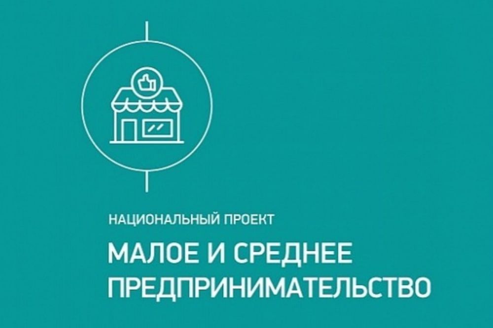          -߻,   ,        2024-2025,   - ...
