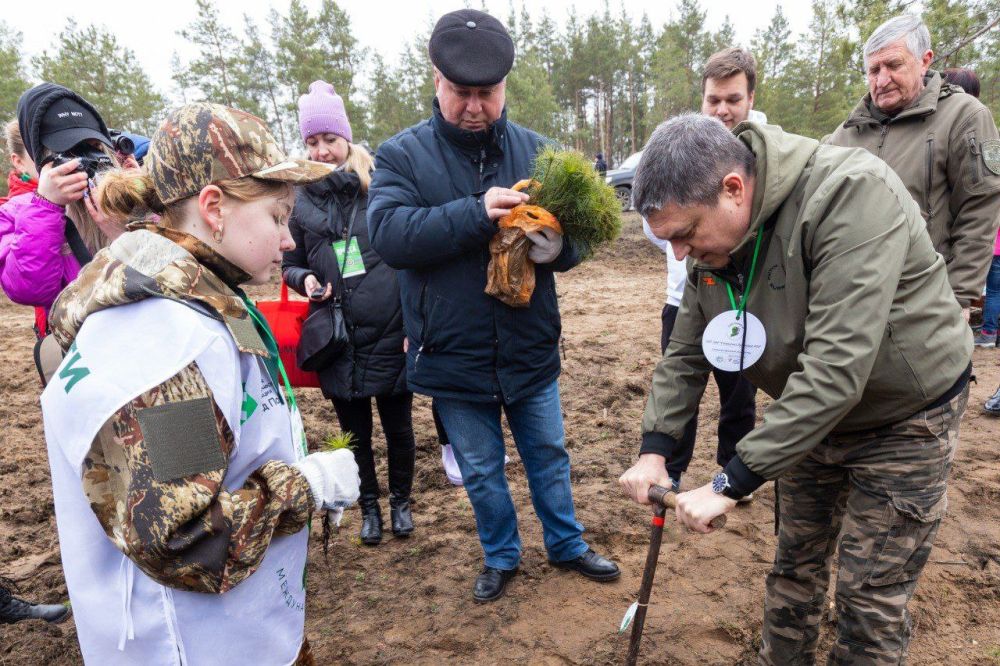 День добрых поступков! День добрых поступков!
