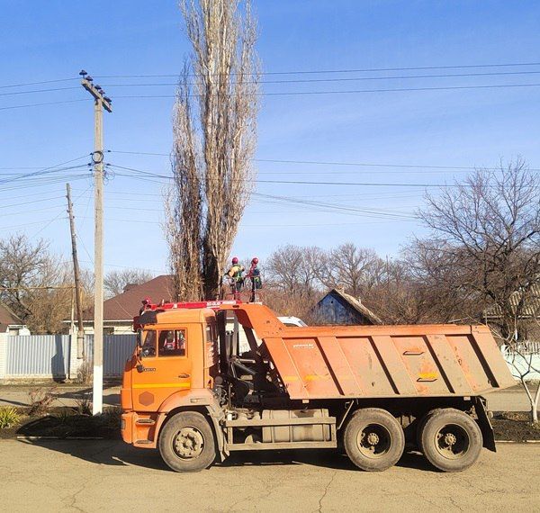 В селе Верхнешевыревка провели частичную обрезку деревьев В селе Верхнешевыревка провели частичную обрезку деревьев