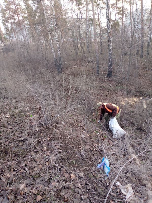 Продолжается уборка в нашем городе Продолжается уборка в нашем городе