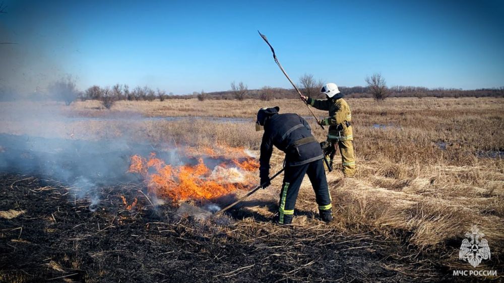 60 гектаров полей сгорело за вчерашний день в Старобельском районе ЛНР 60 гектаров полей сгорело за вчерашний день в Старобельском районе ЛНР