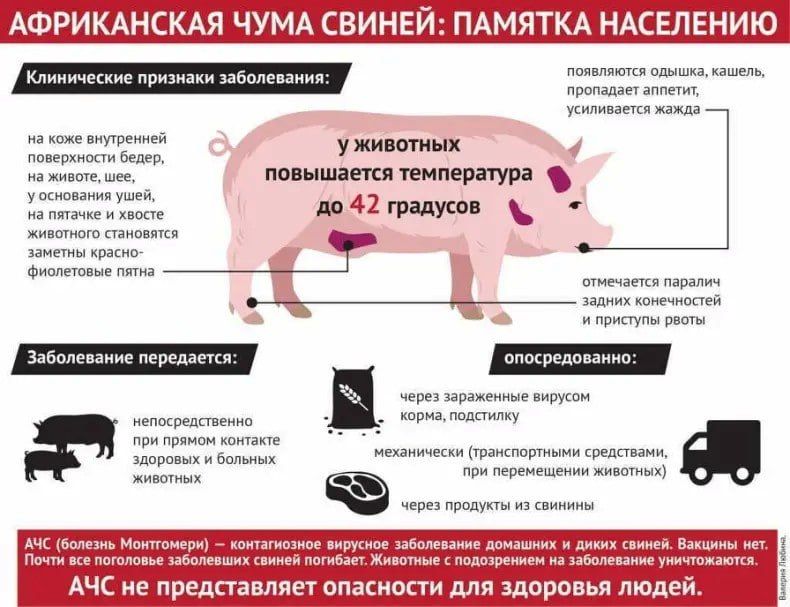 ГБУ ЛНР «СББЖ Марковского района» напоминает, что пчеловоды должны поставить на учёт своих медоносных насекомых до 1 сентября 2025 года ГБУ ЛНР «СББЖ Марковского района» напоминает, что пчеловоды должны поставить на учёт своих медоносных насекомых до 1 сентября 2025 года