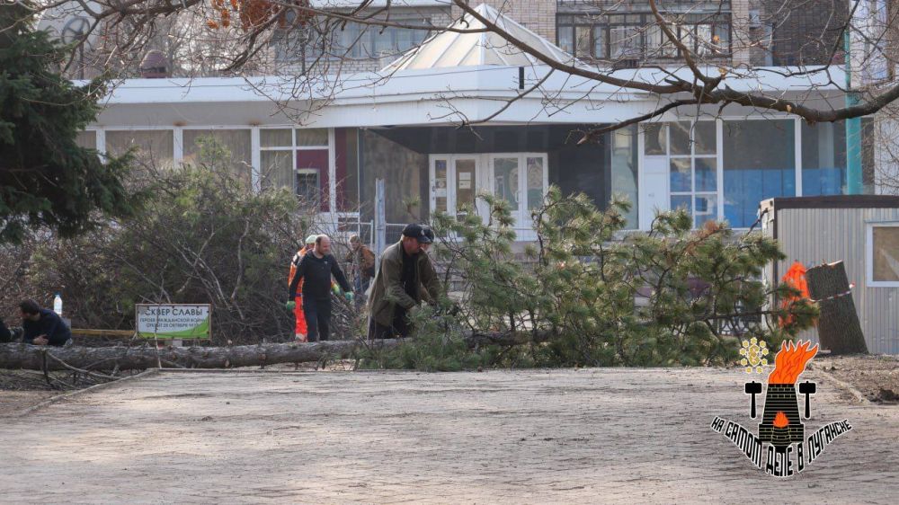 Скверу подарят вторую жизнь Скверу подарят вторую жизнь