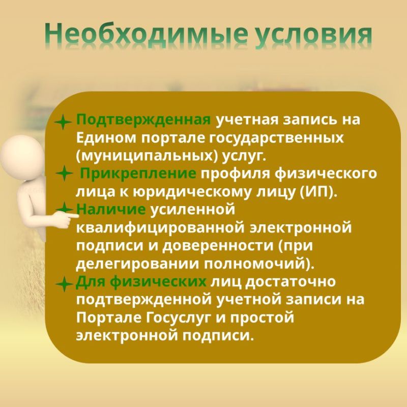 В 2025 году отбор получателей субсидии будет осуществляться в государственной интегрированной информационной системе управления общественными финансами «Электронный бюджет», (подробнее в карточках) В 2025 году отбор получателей субсидии будет осуществляться в государственной интегрированной информационной системе управления общественными финансами «Электронный бюджет», (подробнее в карточках)