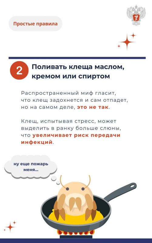 #ПростыеПравила: Что категорически нельзя делать при укусе клеща #ПростыеПравила: Что категорически нельзя делать при укусе клеща