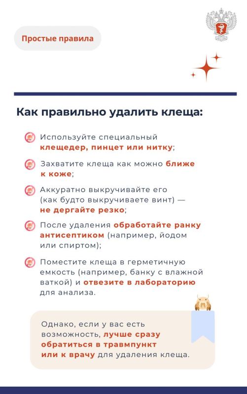#ПростыеПравила: Что категорически нельзя делать при укусе клеща #ПростыеПравила: Что категорически нельзя делать при укусе клеща