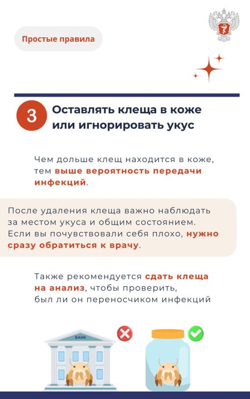 #ПростыеПравила: Что категорически нельзя делать при укусе клеща #ПростыеПравила: Что категорически нельзя делать при укусе клеща