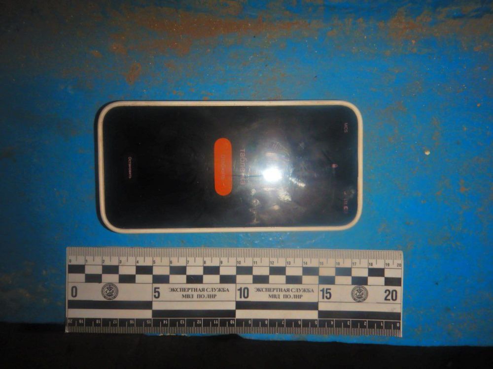 Лутугинские полицейские оперативно вернули 15-летней девочке похищенный телефон