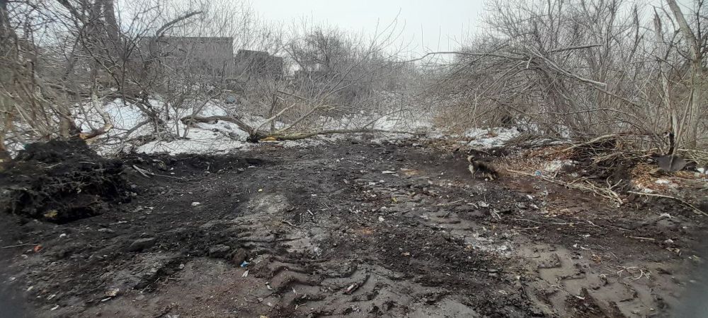 С наступлением благоприятных погодных условий по поручению главы муниципалитета Сергея Саенко коммунальные службы незамедлительно приступили к благоустройству города С наступлением благоприятных погодных условий по поручению главы муниципалитета Сергея Саенко коммунальные службы незамедлительно приступили к благоустройству города