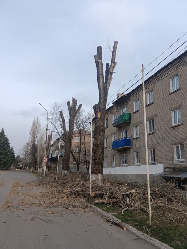 С целью придания эстетического вида территорий муниципального образования и во избежание аварийных ситуаций сегодня, в рамках заключённого контракта с подрядной организацией, согласно разрешительных документов, выполняются... С целью придания эстетического вида территорий муниципального образования и во избежание аварийных ситуаций сегодня, в рамках заключённого контракта с подрядной организацией, согласно разрешительных документов, выполняются...