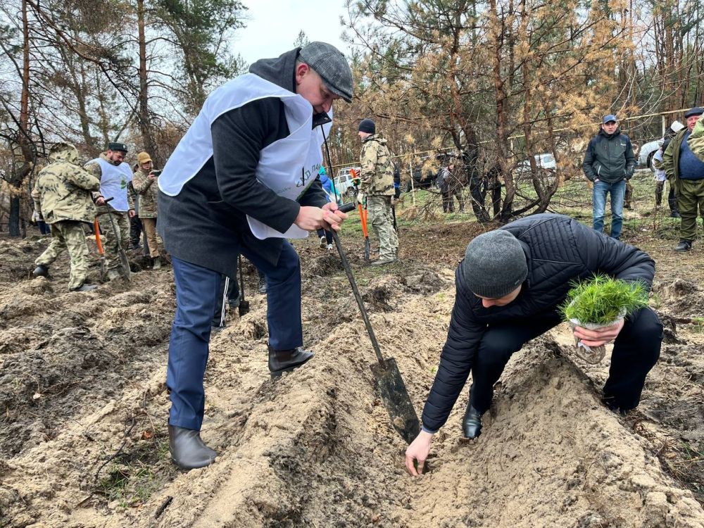 Альберт Зинченко: Сегодня в преддверии 80-летия Победы в Великой Отечественной Войне в Станично-Луганском округе состоялась Всероссийская акция «Сад памяти» Альберт Зинченко: Сегодня в преддверии 80-летия Победы в Великой Отечественной Войне в Станично-Луганском округе состоялась Всероссийская акция «Сад памяти»