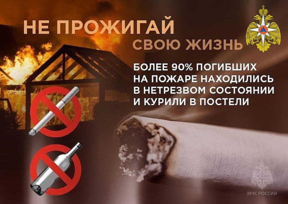 В подростковом возрасте организм претерпевает существенные изменения В подростковом возрасте организм претерпевает существенные изменения