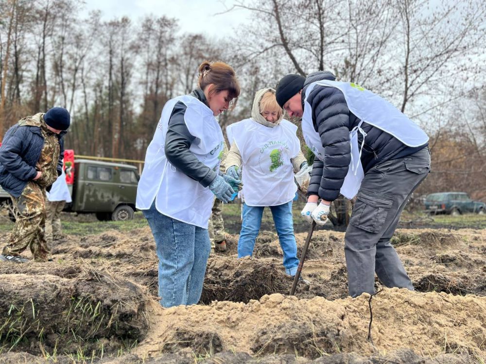 Альберт Зинченко: Сегодня в преддверии 80-летия Победы в Великой Отечественной Войне в Станично-Луганском округе состоялась Всероссийская акция «Сад памяти» Альберт Зинченко: Сегодня в преддверии 80-летия Победы в Великой Отечественной Войне в Станично-Луганском округе состоялась Всероссийская акция «Сад памяти»