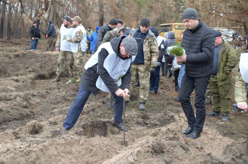 Международная акция «Сад памяти» стартовала на территории Луганской Народной Республики Международная акция «Сад памяти» стартовала на территории Луганской Народной Республики