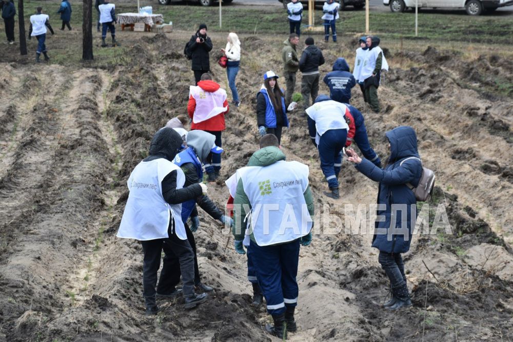 В Луганской Народной Республике стартовала международная акция «Сад памяти» В Луганской Народной Республике стартовала международная акция «Сад памяти»