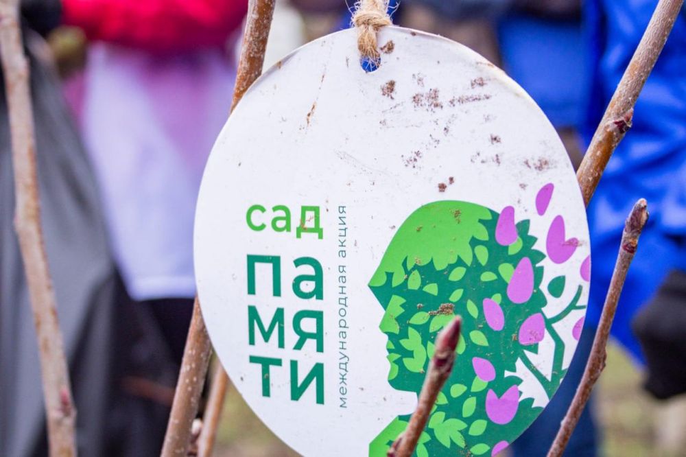 Участники международной акции «Сад памяти» высадили почти 15 тыс Участники международной акции «Сад памяти» высадили почти 15 тыс