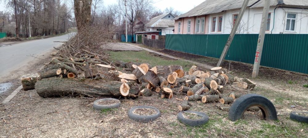 Виктория Сергеева: Коммунальщики в действии Виктория Сергеева: Коммунальщики в действии