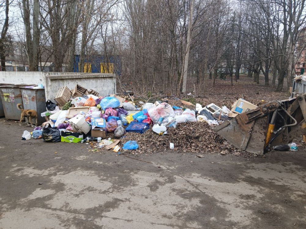 МУП «ДЭС» продолжает борьбу за чистоту городских территорий возле площадок ТКО МУП «ДЭС» продолжает борьбу за чистоту городских территорий возле площадок ТКО
