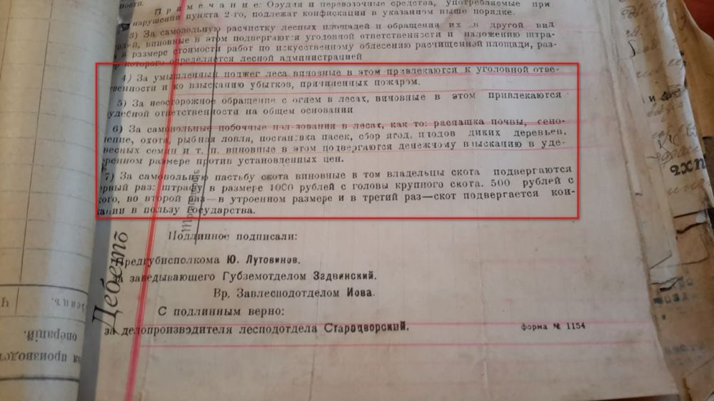 Как наказывали в старину и, как накажут тех, кто убивает лес Донбасса теперь Как наказывали в старину и, как накажут тех, кто убивает лес Донбасса теперь