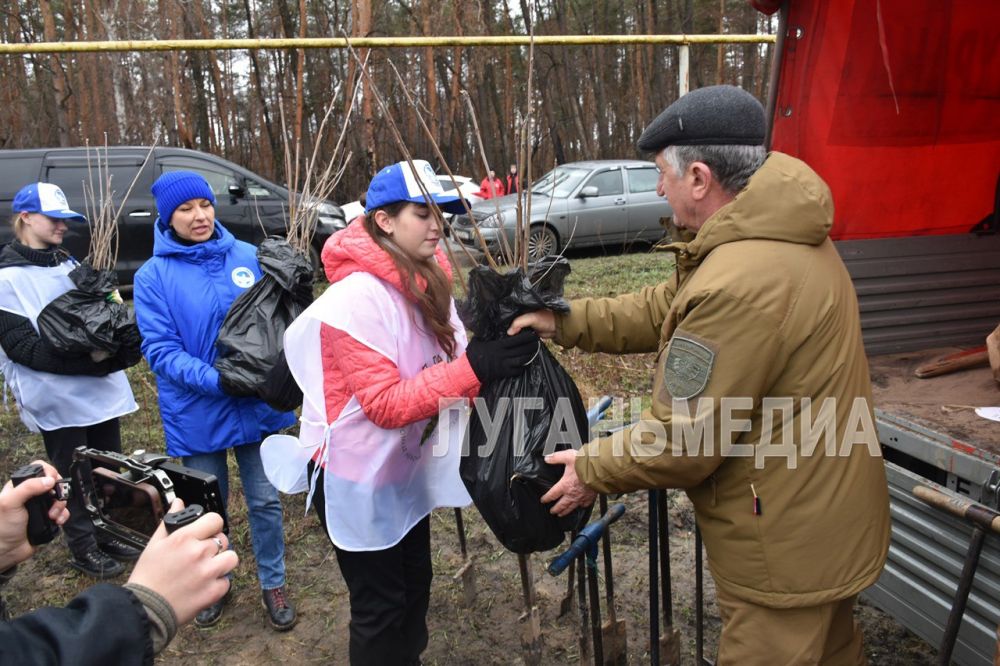 В Луганской Народной Республике стартовала международная акция «Сад памяти» В Луганской Народной Республике стартовала международная акция «Сад памяти»