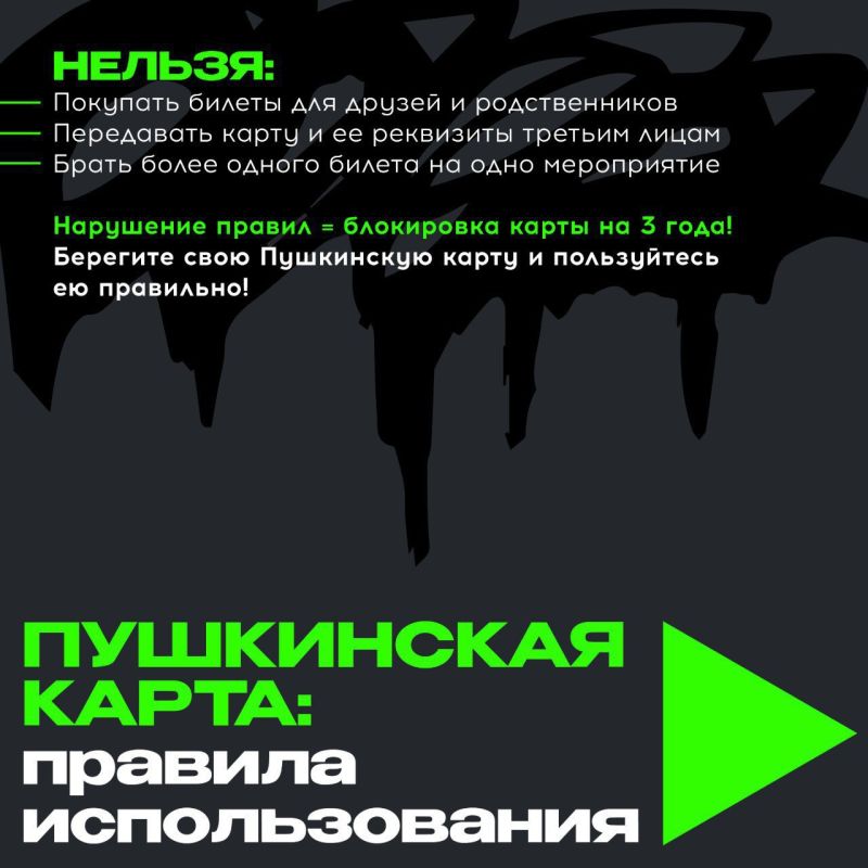 Как безопасно пользоваться Пушкинской картой? Как безопасно пользоваться Пушкинской картой?