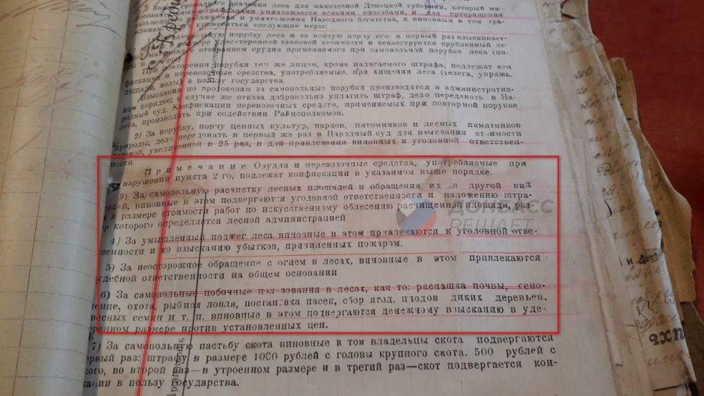 Как наказывали в старину и, как накажут тех, кто убивает лес Донбасса теперь Как наказывали в старину и, как накажут тех, кто убивает лес Донбасса теперь