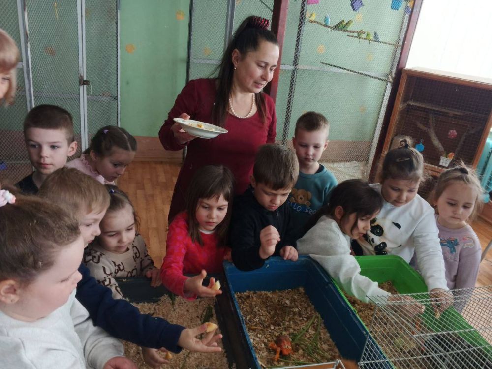 Удивительное путешествие в мир живой природы Удивительное путешествие в мир живой природы
