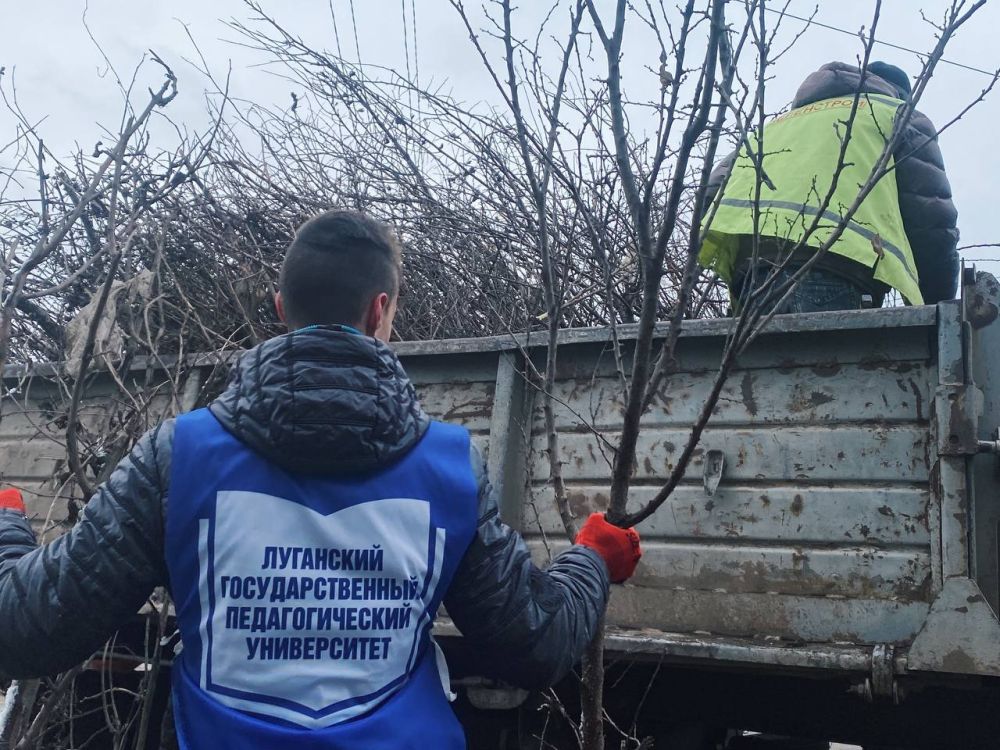 #СделайГородЧище: луганские студотряды снова облагораживают столицу #СделайГородЧище: луганские студотряды снова облагораживают столицу