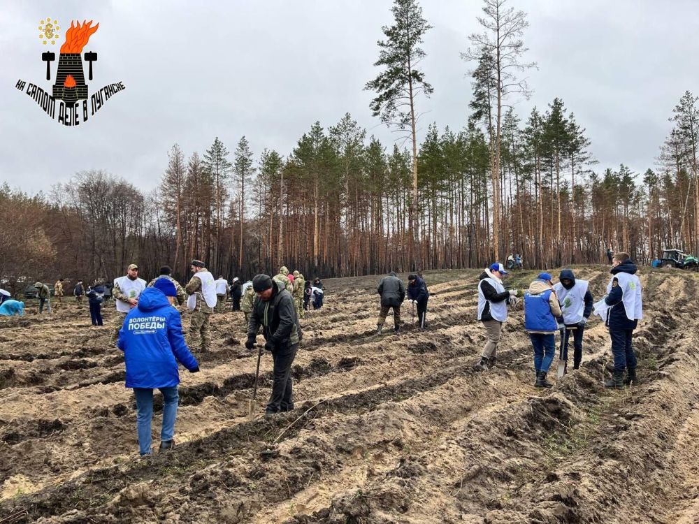 В Станично-Луганском округе прошла акция "Сад памяти" В Станично-Луганском округе прошла акция "Сад памяти"