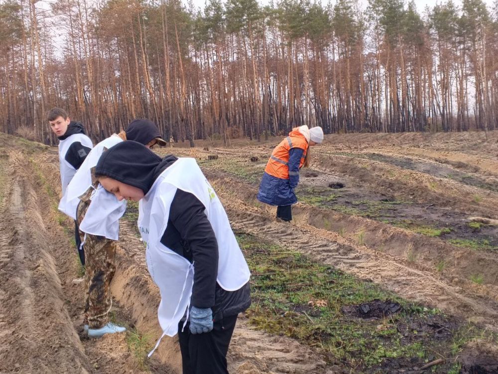Олег Коваль: Депутат Станично - Луганского муниципального Совета, муниципальный координатор проекта "Новая школа" ВПП "Единая Россия" Наталья Макарова приняла участие в акции "Сад памяти", организованной школьным... Олег Коваль: Депутат Станично - Луганского муниципального Совета, муниципальный координатор проекта "Новая школа" ВПП "Единая Россия" Наталья Макарова приняла участие в акции "Сад памяти", организованной школьным...