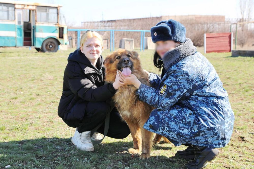 Служебным собакам-пенсионерам из учреждений УФСИН России по Луганской Народной Республике нашли новых хозяев Служебным собакам-пенсионерам из учреждений УФСИН России по Луганской Народной Республике нашли новых хозяев