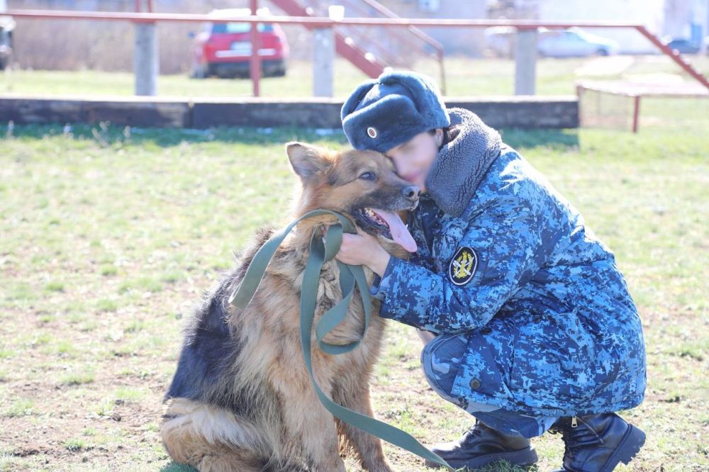 Служебным собакам-пенсионерам из учреждений УФСИН России по Луганской Народной Республике нашли новых хозяев Служебным собакам-пенсионерам из учреждений УФСИН России по Луганской Народной Республике нашли новых хозяев