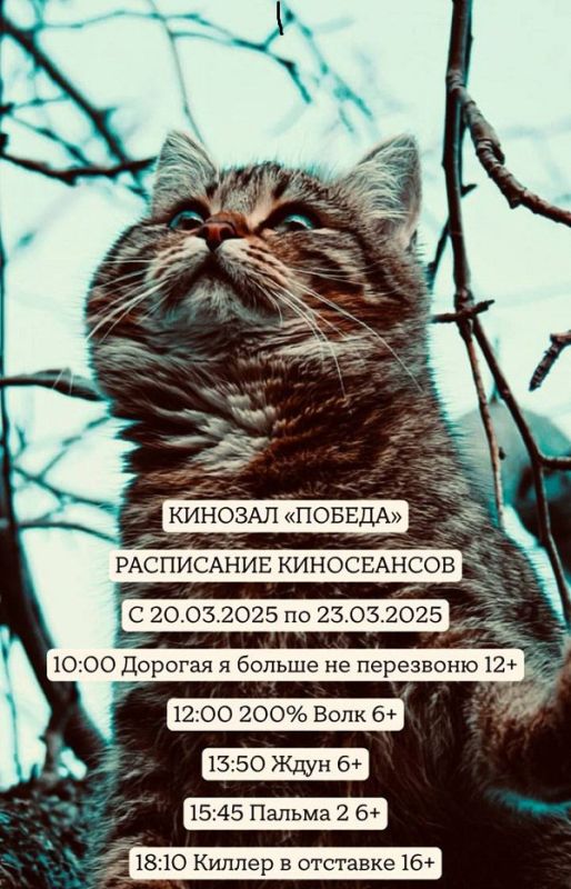Если вы ещё не решили, как провести предстоящие выходные, предлагаем отличную идею — сходить в кино! Если вы ещё не решили, как провести предстоящие выходные, предлагаем отличную идею — сходить в кино!