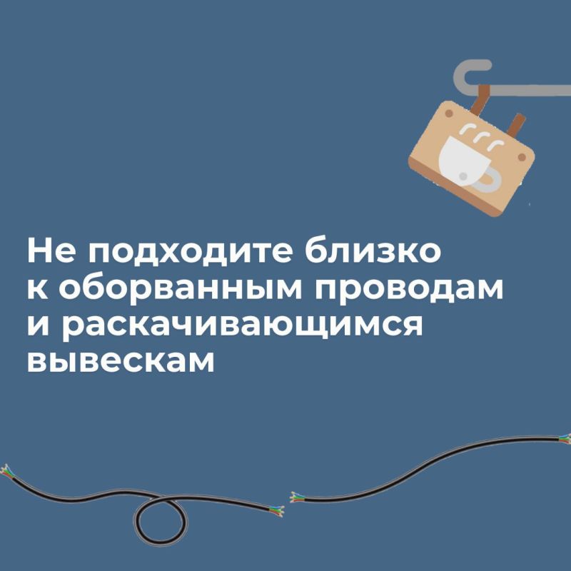Весна: самое время поговорить о правилах безопасности во время сильного ветра Весна: самое время поговорить о правилах безопасности во время сильного ветра