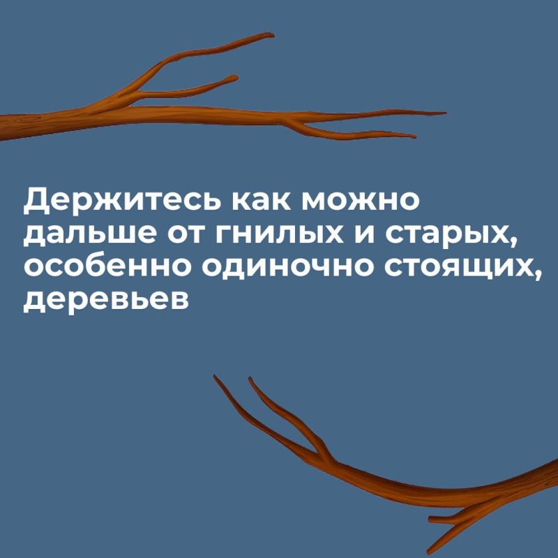 Весна: самое время поговорить о правилах безопасности во время сильного ветра Весна: самое время поговорить о правилах безопасности во время сильного ветра