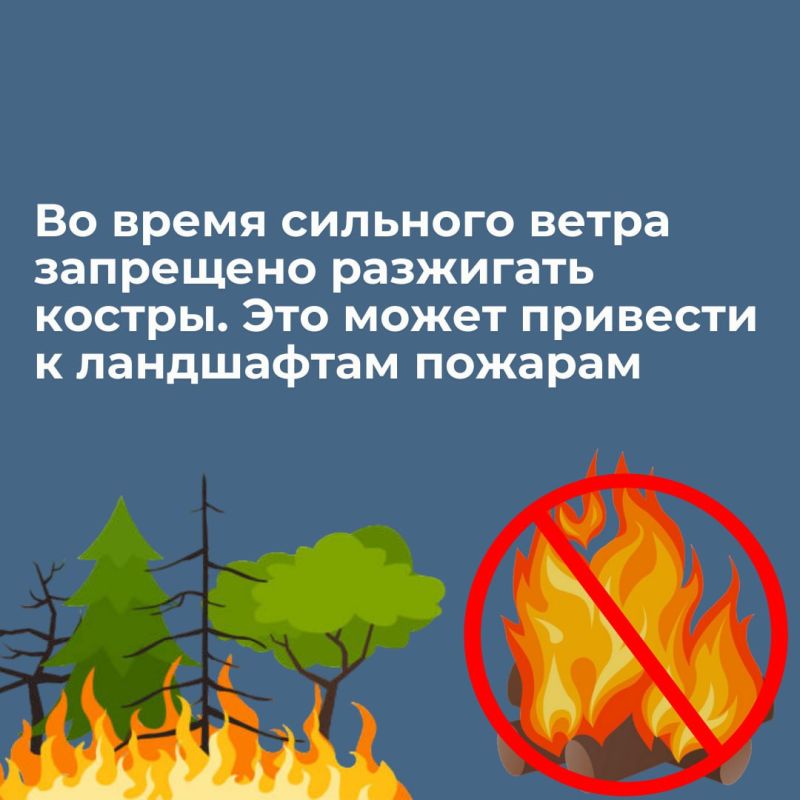 Весна: самое время поговорить о правилах безопасности во время сильного ветра Весна: самое время поговорить о правилах безопасности во время сильного ветра